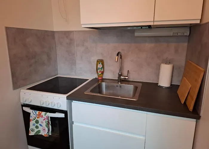 Yksioe Yliopiston Vieressae