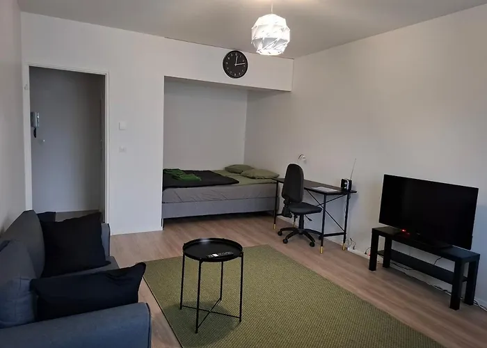 Yksioe Yliopiston Vieressae Apartmán